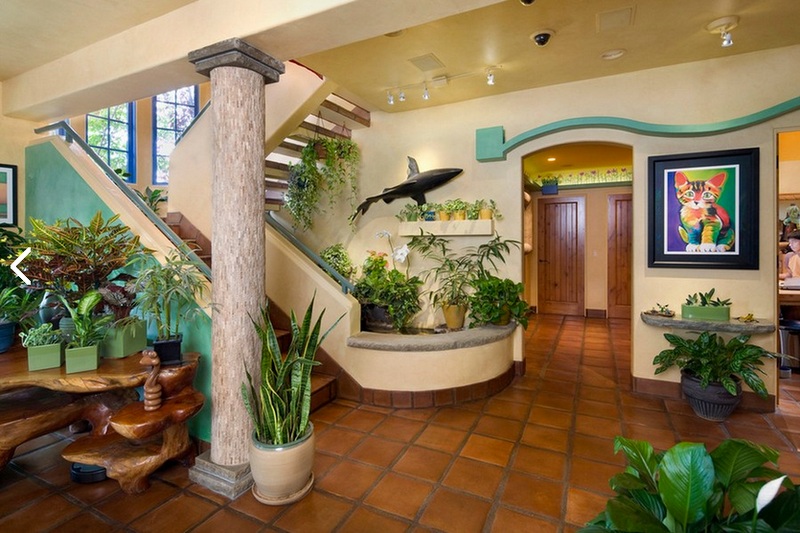 Illustration for article titled A $35,000 Renovation Turned This Suburban Home Into a Cat Palace